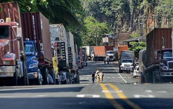 Federación Nacional de Cafeteros implementa plan por invierno y paro en Buenaventura