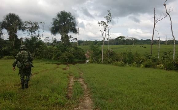 Contraloría pidió investigar 33 fincas por acumulación de baldíos
